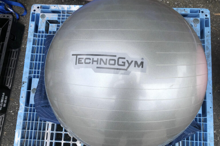 Technogym balance ball hot sale